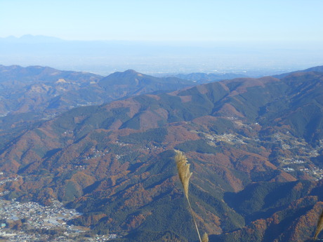 c0206177_8411544.jpg