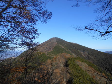 c0206177_8431720.jpg