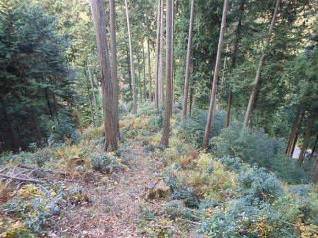 c0206177_846463.jpg
