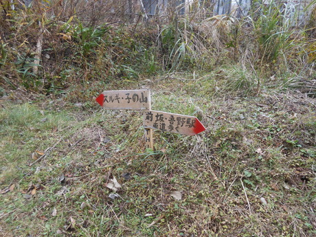 c0206177_8471092.jpg