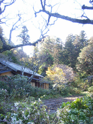 d0124878_21154581.jpg