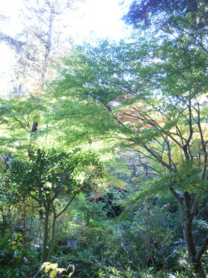 d0124878_21164012.jpg