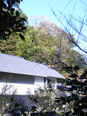 d0124878_21181167.jpg