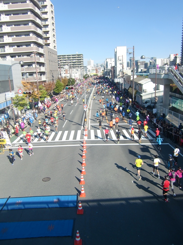 f0238779_108774.jpg