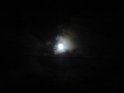 a0247585_5521250.jpg