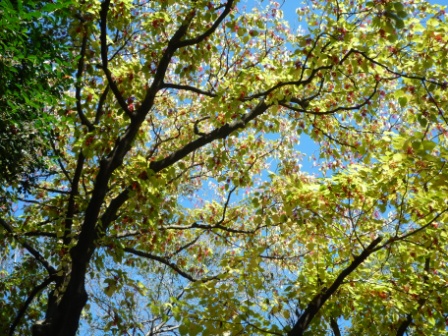 b0197486_9503922.jpg
