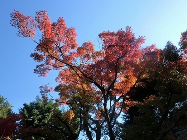 e0143690_1357757.jpg