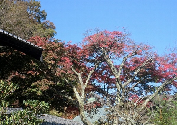 e0143690_1357815.jpg