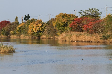 a0222494_17272175.jpg