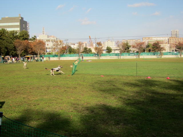 d0098295_23213146.jpg