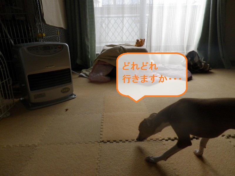 a0284997_2223475.jpg