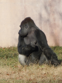 d0103098_13504971.jpg