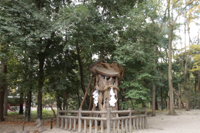 f0124601_23284948.jpg