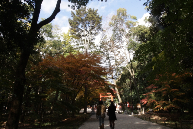 f0124601_23285891.jpg