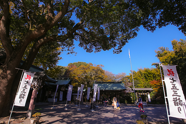 e0117503_13493410.jpg
