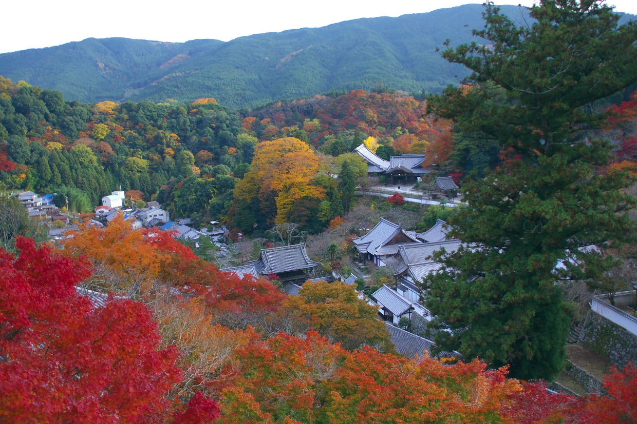 b0174905_8113776.jpg