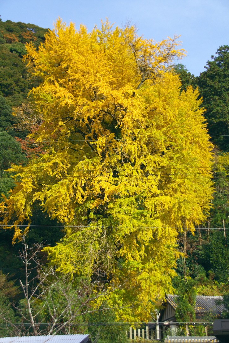 b0174905_816781.jpg
