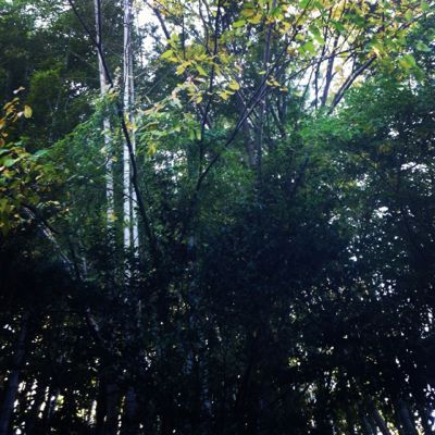 b0250907_19533157.jpg