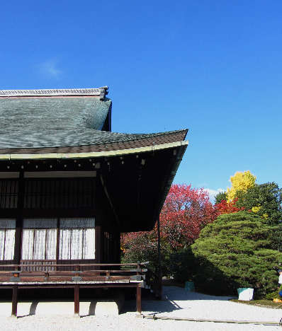 d0154609_18425022.jpg