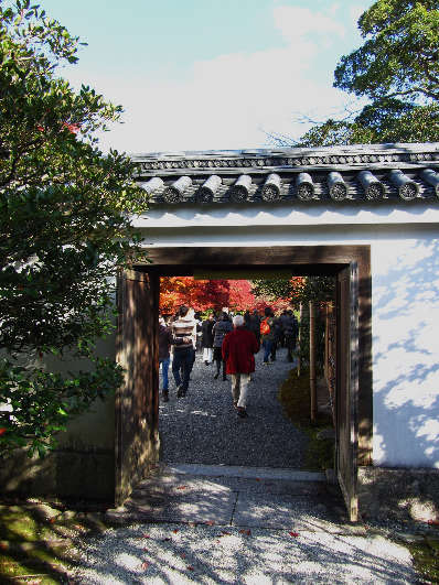 d0154609_1843773.jpg