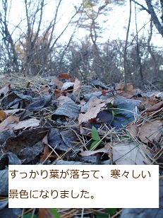 b0200310_1628271.jpg
