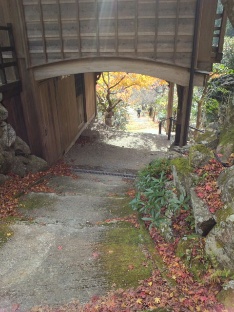 e0099212_20374889.jpg