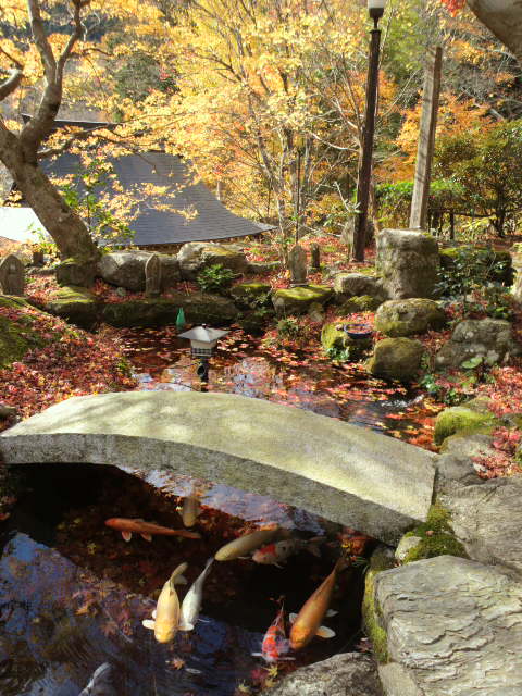e0099212_20395141.jpg