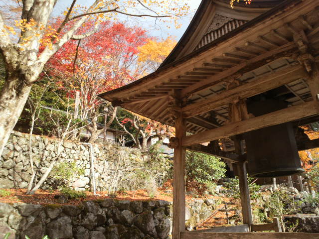 e0099212_20434127.jpg