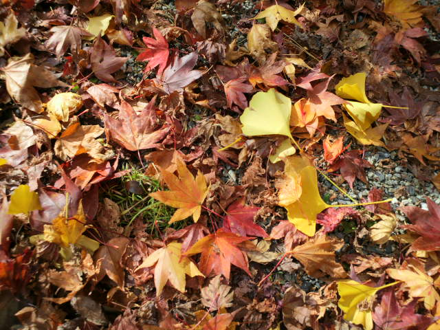 e0099212_20443554.jpg