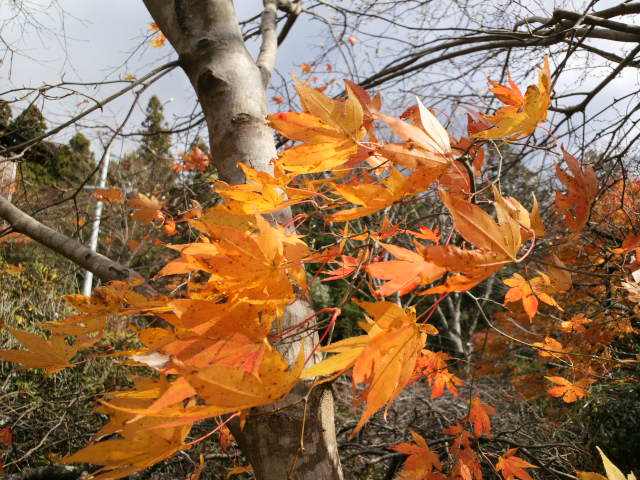 e0099212_20461137.jpg