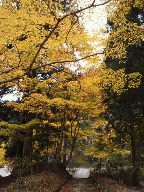 e0099212_20472973.jpg