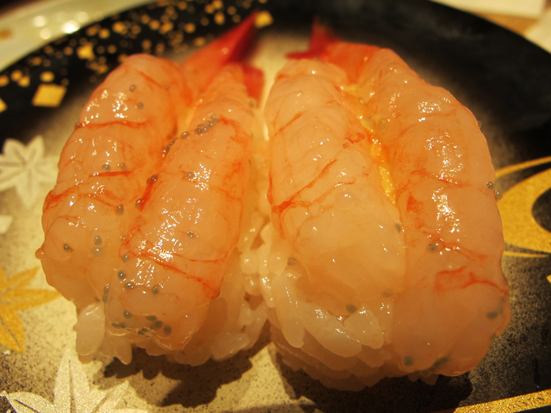a0101715_016314.jpg