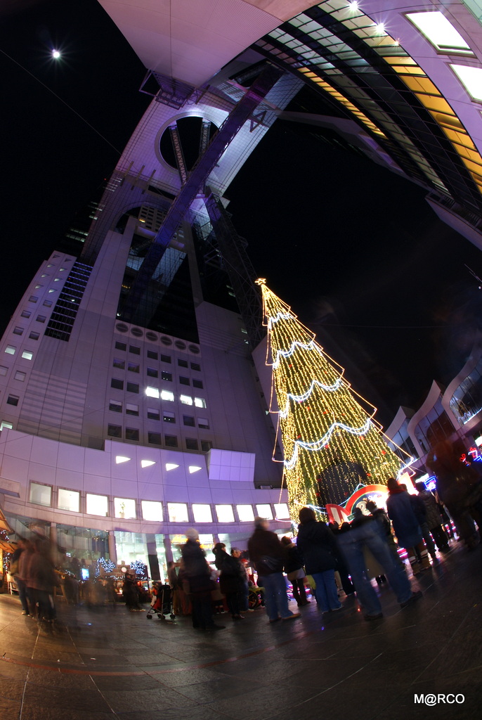 a0240721_22292538.jpg