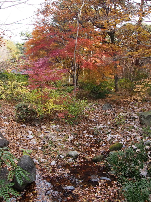 c0085622_2273823.jpg