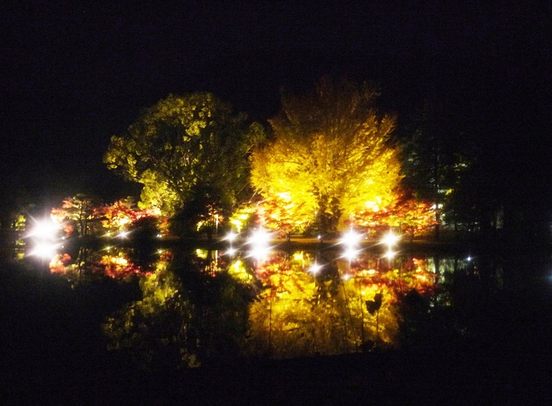 e0206031_13395047.jpg