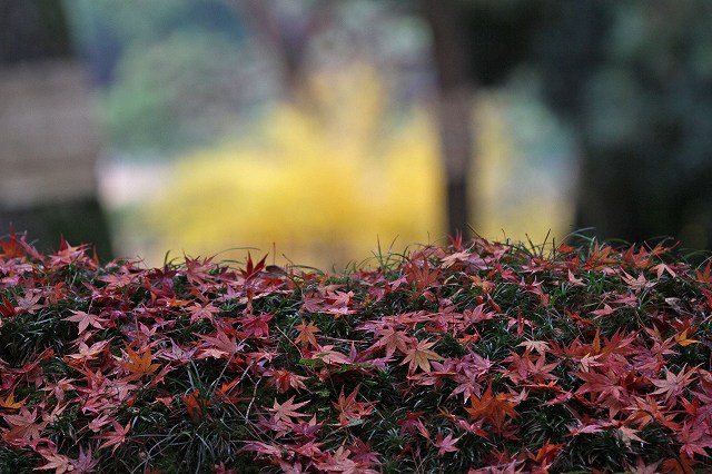 a0242438_22343238.jpg