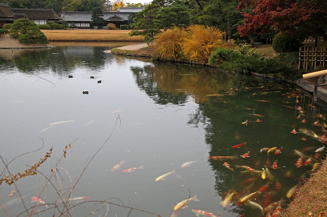 a0242438_22345392.jpg
