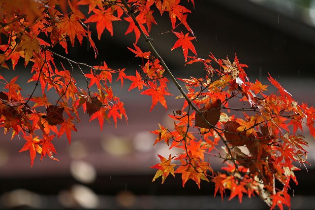 a0242438_2235999.jpg