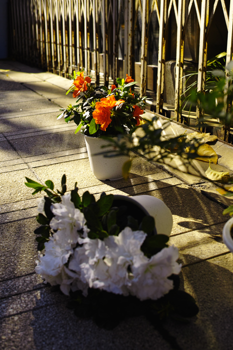 a0049639_2081218.jpg