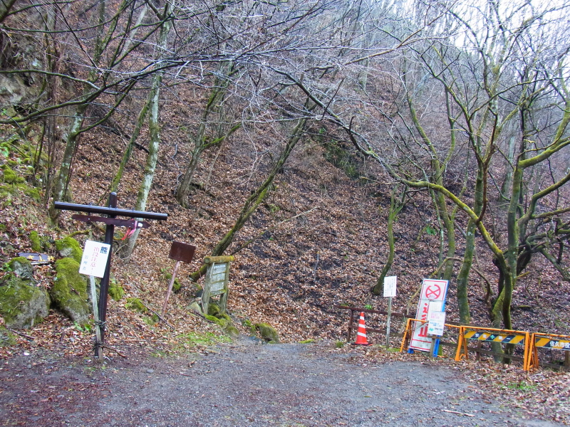 b0190242_22211128.jpg