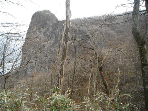 b0190242_22214731.jpg