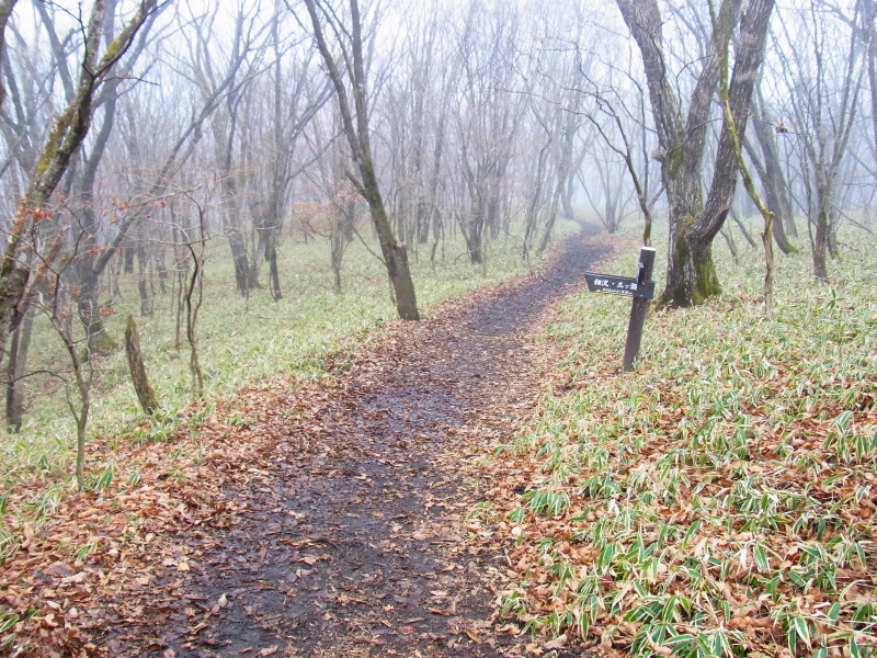 b0190242_22252665.jpg