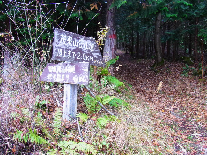 b0190242_22323722.jpg