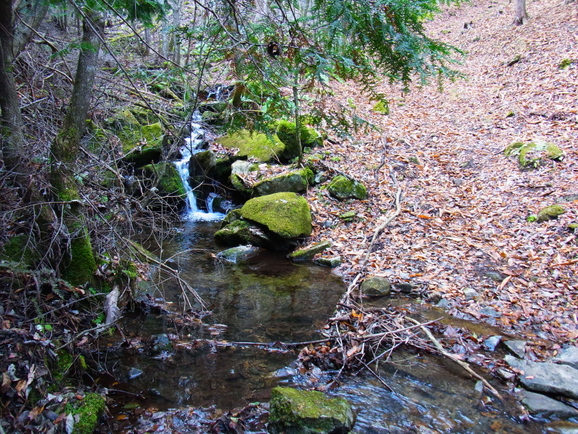 b0190242_22324918.jpg