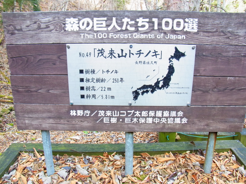 b0190242_22341717.jpg