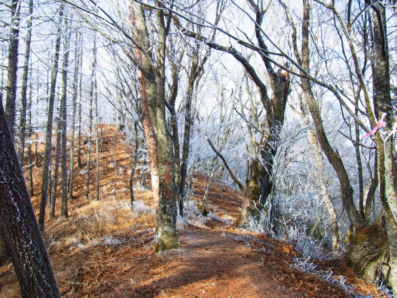 b0190242_22363227.jpg