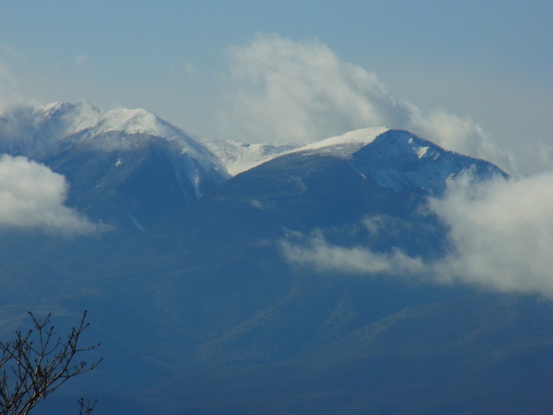 b0190242_2239489.jpg