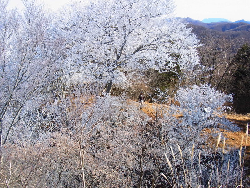 b0190242_22414858.jpg
