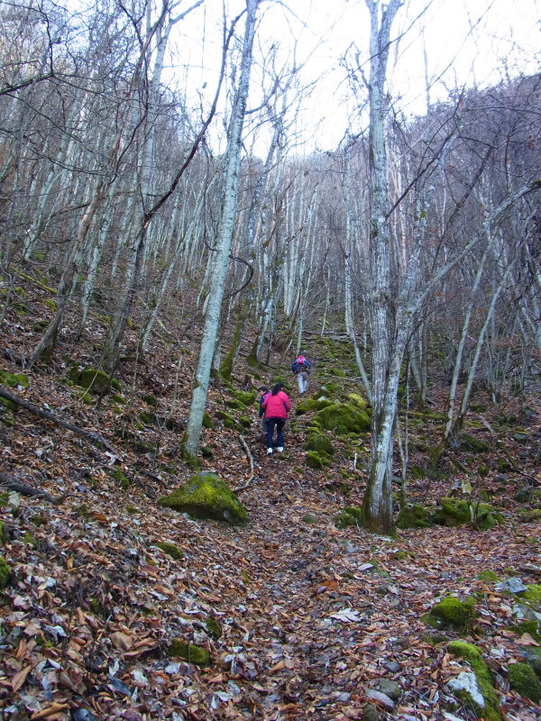 b0190242_22425027.jpg