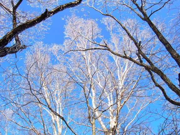b0190242_2259229.jpg